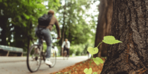 Ciclistas pedalando por uma alameda arborizada, com foco em uma árvore e broto verde em primeiro plano, simbolizando natureza urbana e mobilidade sustentável