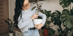 mulher segurando uma planta em um vaso branco, dentro de casa, rodeada por outras folhagens