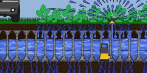 Ilustração do sistema Ecodreno da Ecotelhado, mostrando a retenção e infiltração da água da chuva no solo, com vegetação e irrigação na superfície.