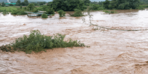 Rio transbordado após chuva intensa, com água barrenta e vegetação parcialmente submersa, ilustrando cenário de enchentes em áreas urbanas e rurais.